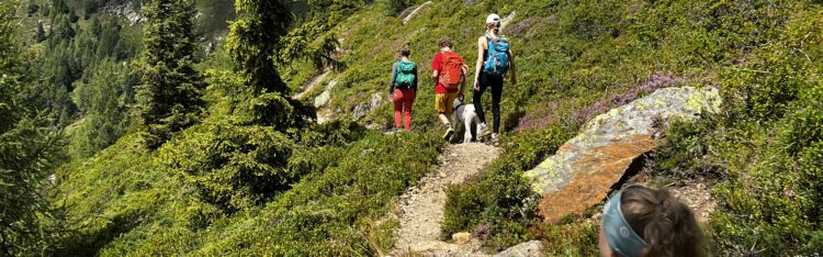 Wanderer auf einem Wanderweg in den Alpen in Südtirol